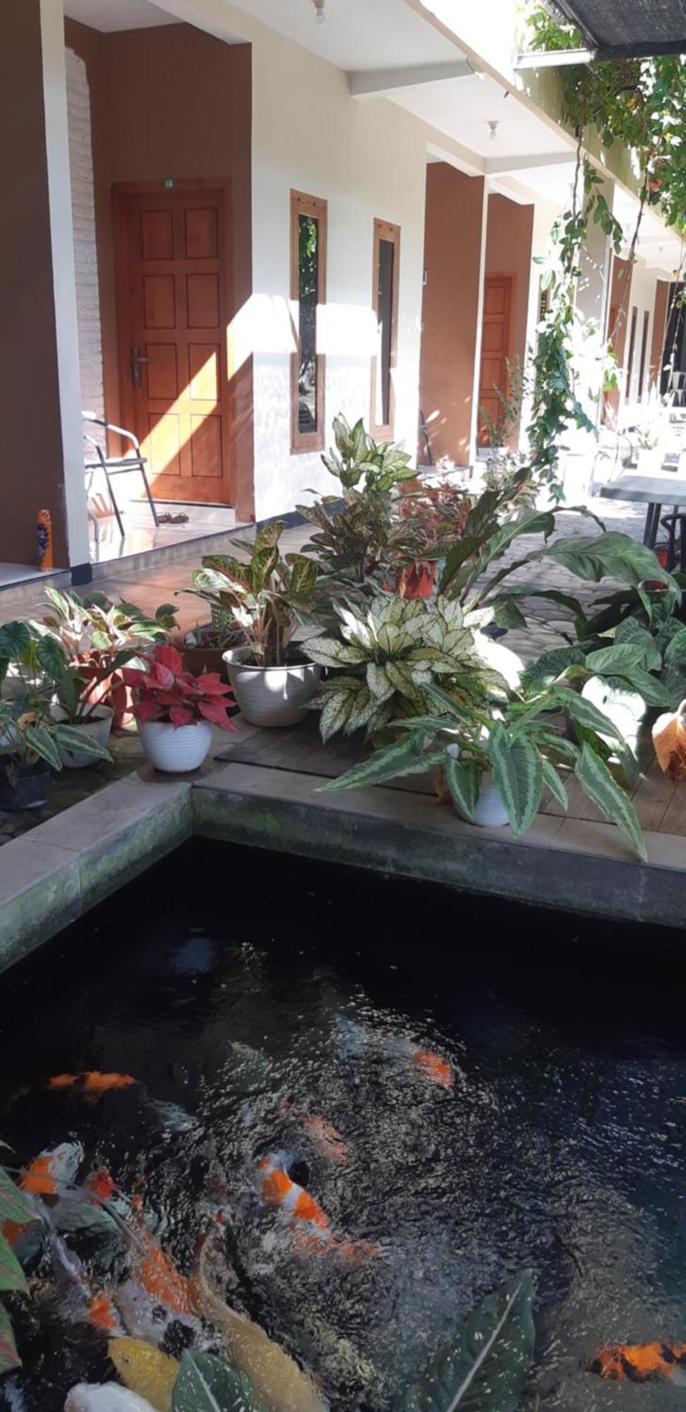 New Eston House Homestay *