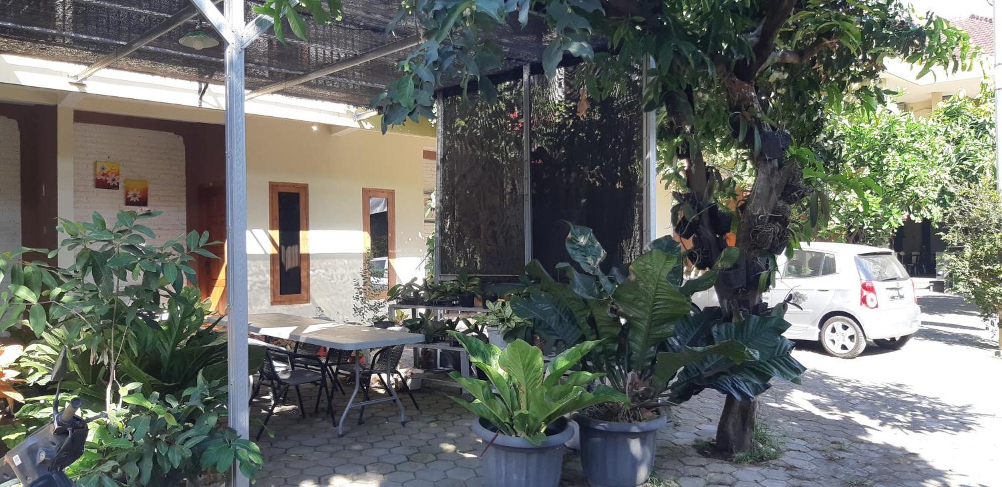 New Eston House Homestay *